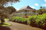Sir Seewoosagur Pamplemousses Garden, Mauritius - 22