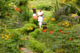 Hotel Lakaz Chamarel, Black River, Mauritius - 03