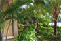 Ferienhaus Peramal Grand Baie Mauritius - 03