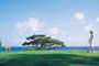 Golf-Urlaub auf Mauritius - 21