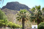 Ferien auf Teneriffa - Finca Gigantes in Los Gigantes - 05