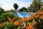 Ferienhaus / Finca Patio Suite, Arnemine, Teneriffa - 10