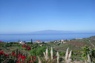 Teneriffa Guia de Isora
